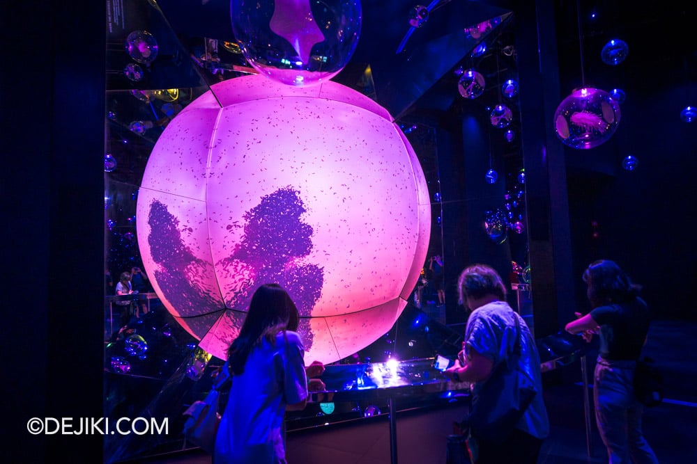 Mandai Singapore Exploria attraction - 1 Micro Worlds interactives Mandai Singapore Exploria attraction 1 Micro Worlds interactives