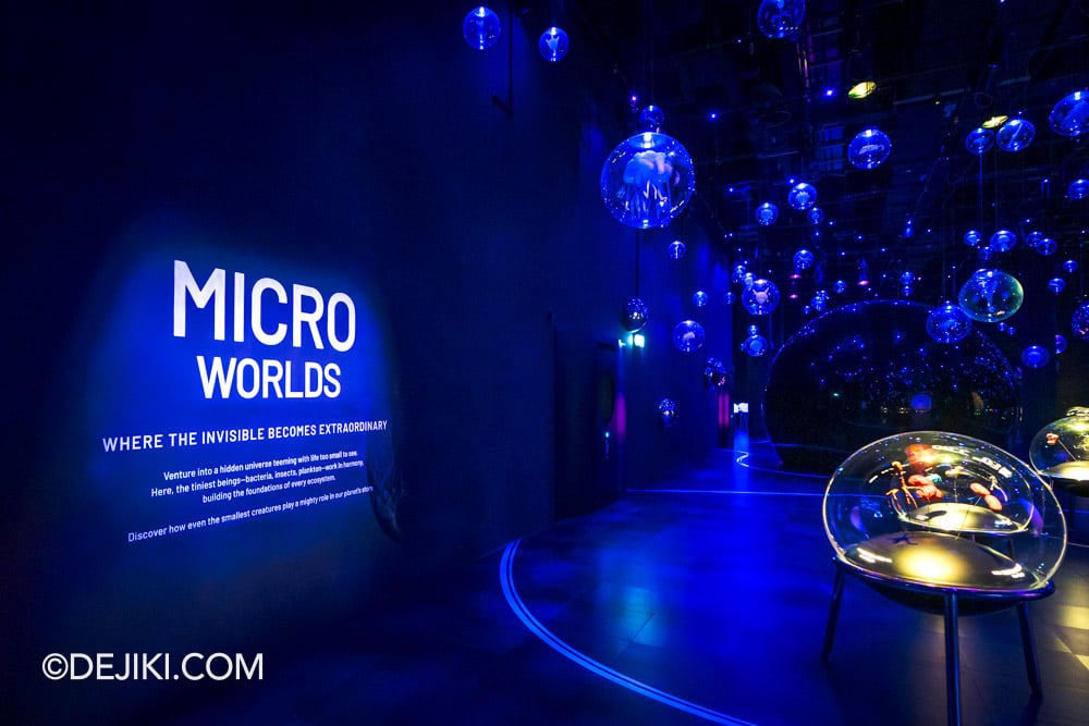 Mandai Singapore Exploria attraction - 1 Micro Worlds intro Mandai Singapore Exploria attraction 1 Micro Worlds intro