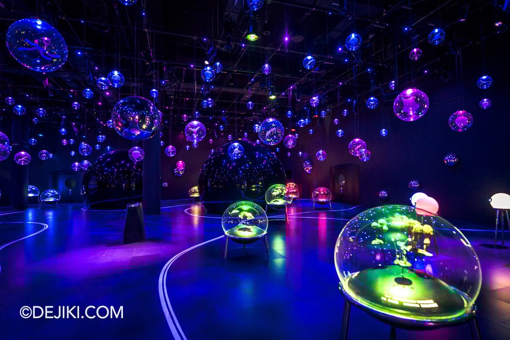 Mandai Singapore Exploria attraction - 1 Micro Worlds overview Mandai Singapore Exploria attraction 1 Micro Worlds overview