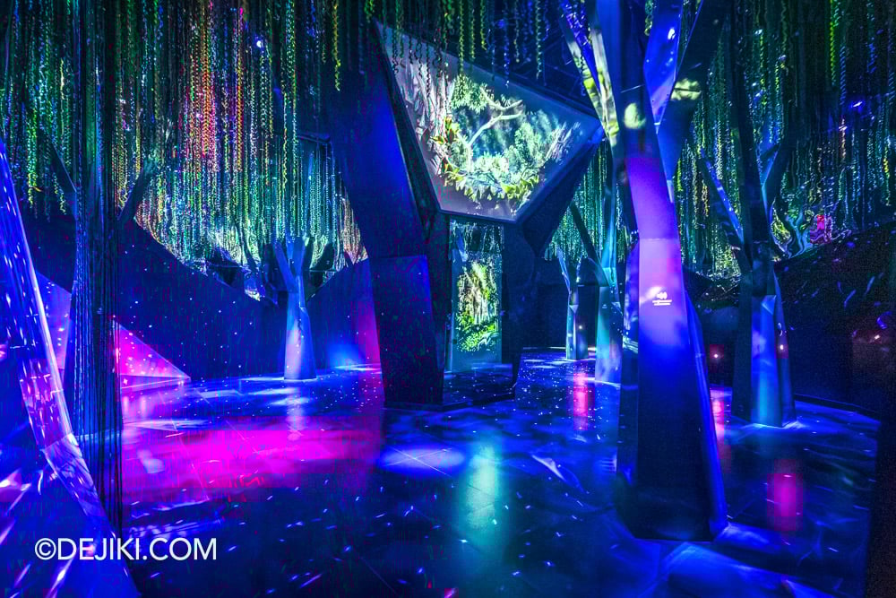 Mandai Singapore Exploria attraction - 4 Infinite Wonderland Rainforest Sound Mandai Singapore Exploria attraction 4 Infinite Wonderland Rainforest Sound