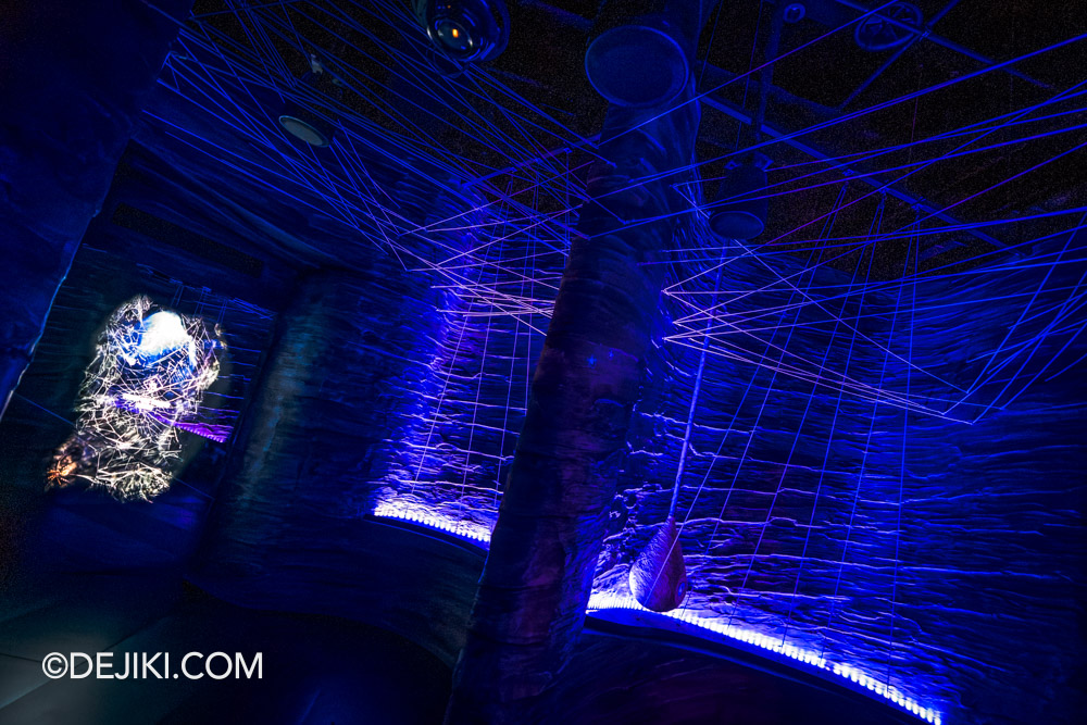 Mandai Singapore Exploria attraction - 5 World of Darkness spider Mandai Singapore Exploria attraction 5 World of Darkness spider