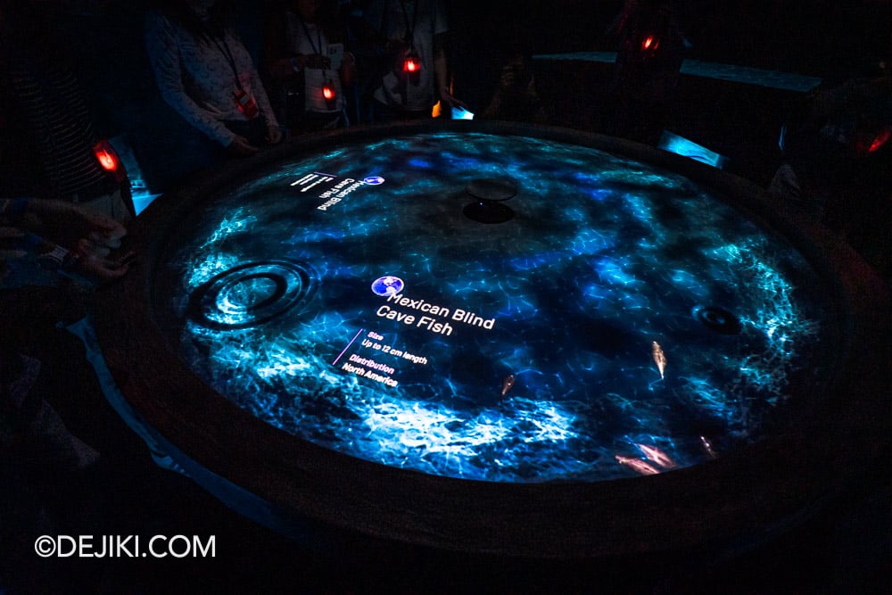 Mandai Singapore Exploria attraction - 5 World of Darkness water pool Mandai Singapore Exploria attraction 5 World of Darkness water pool