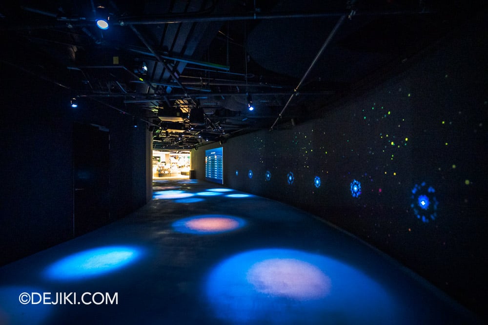 Mandai Singapore Exploria attraction - 6 Exit Tunnel Mandai Singapore Exploria attraction 6 Exit Tunnel