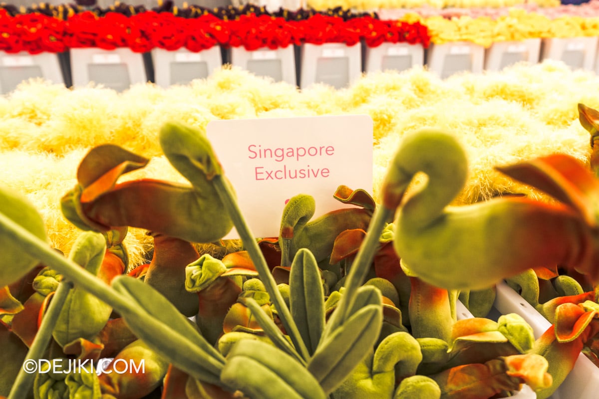 Cj Hendry flower market opens in Singapore at IMBA Theatre Gardens by the Bay - Singapore Exclusive Flowers Raffles Pitcher Plant Cj Hendry flower market opens in Singapore at IMBA Theatre Gardens by the Bay Singapore Exclusive Flowers Raffles Pitcher Plant