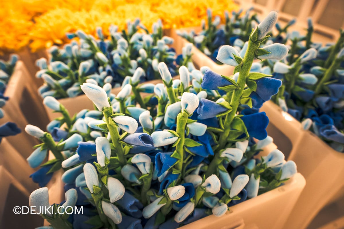 Cj Henry flower market opens in Singapore at IMBA Theatre Gardens by the Bay - Flower closeups Blue Lupin Cj Henry flower market opens in Singapore at IMBA Theatre Gardens by the Bay Flower closeups Blue Lupin