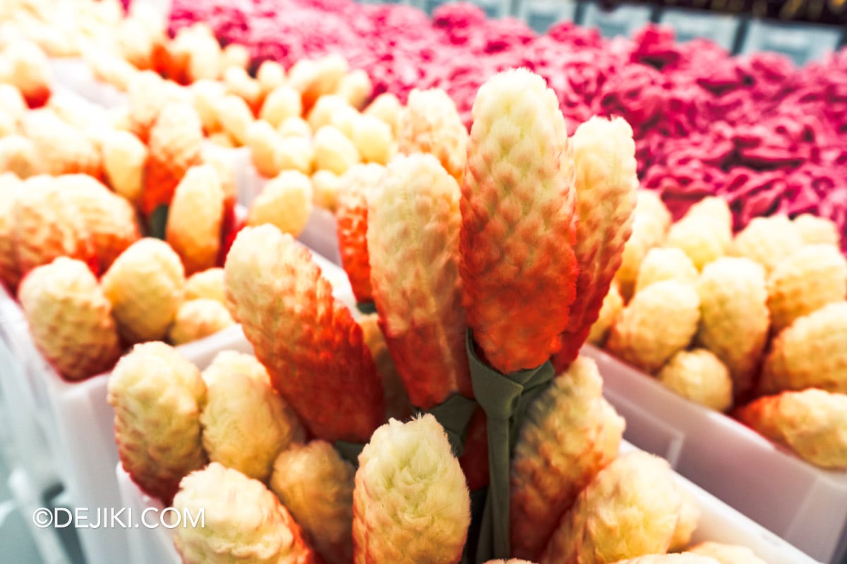 Cj Henry flower market opens in Singapore at IMBA Theatre Gardens by the Bay - Singapore Exclusive Flowers Singapore Ginger Flower Cj Henry flower market opens in Singapore at IMBA Theatre Gardens by the Bay Singapore Exclusive Flowers Singapore Ginger Flower
