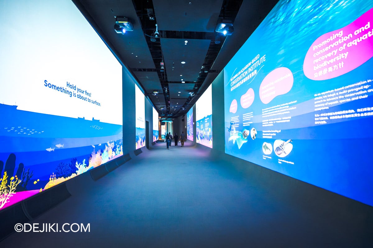 RWS Singapore Oceanarium 2026 POP MART CRYBABY CRY ME an OCEAN Activation - 8 Hallway of Hope Renewed RWS Singapore Oceanarium 2026 POP MART CRYBABY CRY ME an OCEAN Activation 8 Hallway of Hope Renewed
