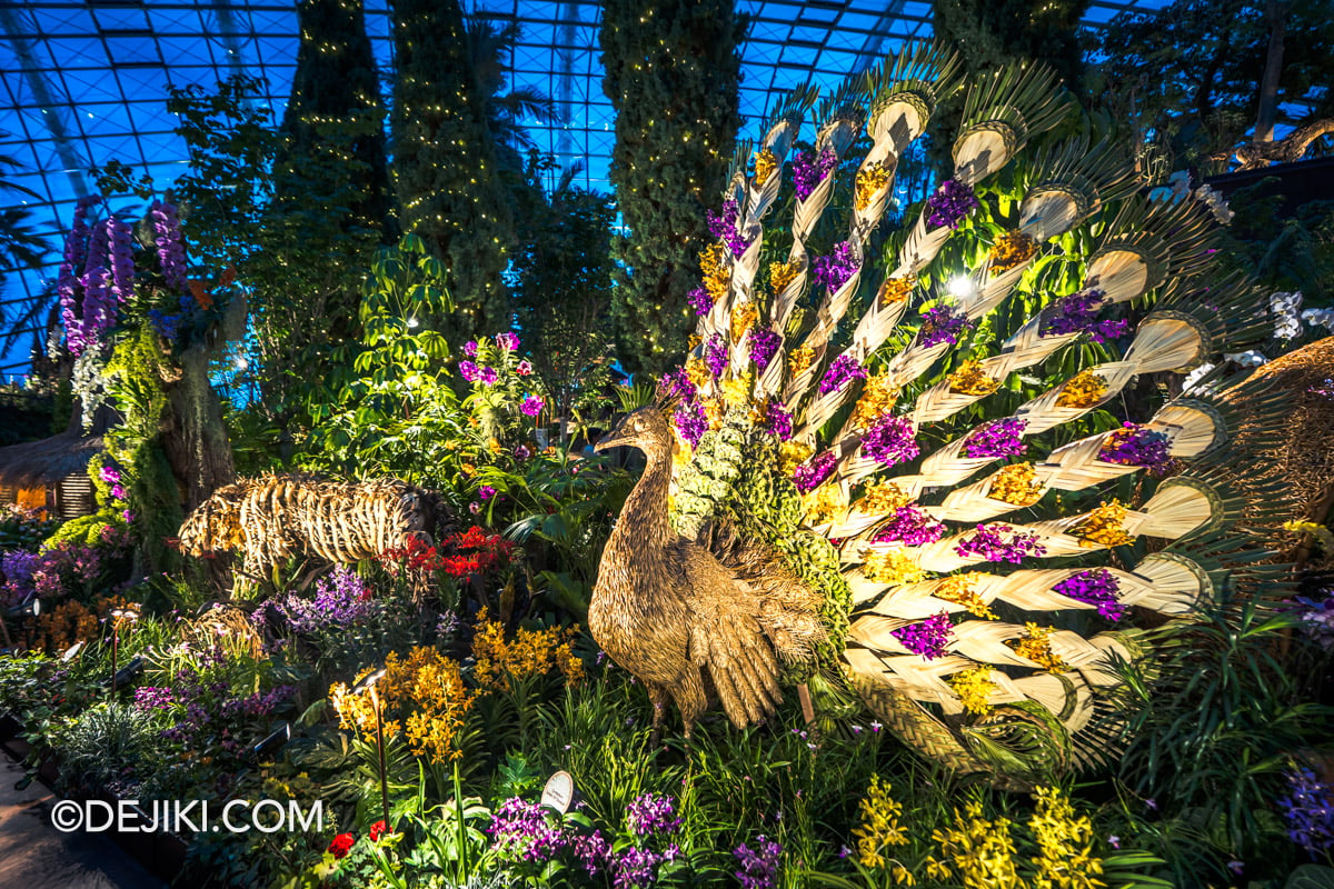 Gardens by the Bay - Orchid Extravaganza 2026 Rhythm of the Rainforest - Anyaman Sculpture Peacock Focus Gardens by the Bay Orchid Extravaganza 2026 Rhythm of the Rainforest Anyaman Sculpture Peacock Focus