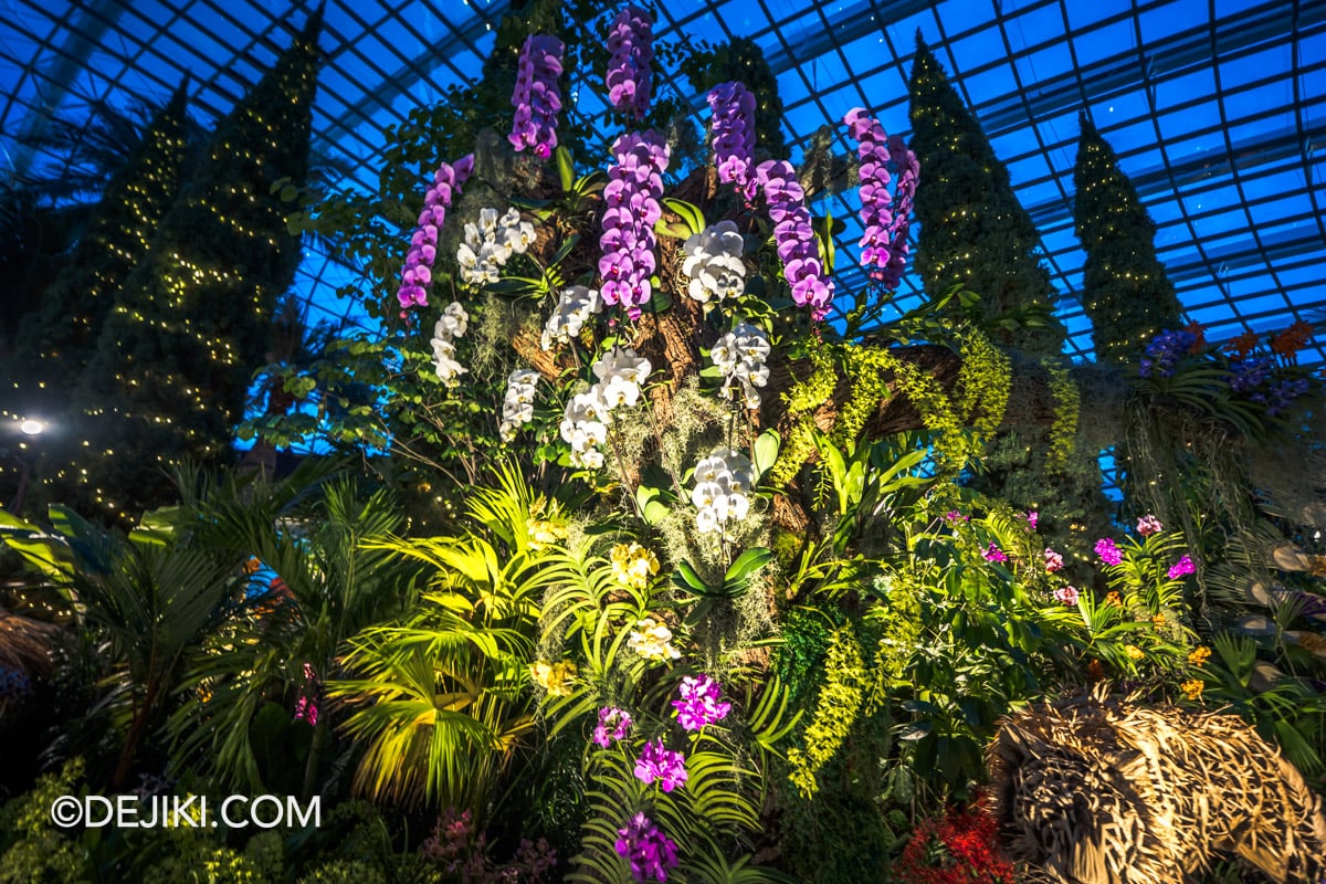 Gardens by the Bay - Orchid Extravaganza 2026 Rhythm of the Rainforest - Orchid Chains Hanging from Mountain beside Tiger and Peacock Gardens by the Bay Orchid Extravaganza 2026 Rhythm of the Rainforest Orchid Chains Hanging from Mountain beside Tiger and Peacock