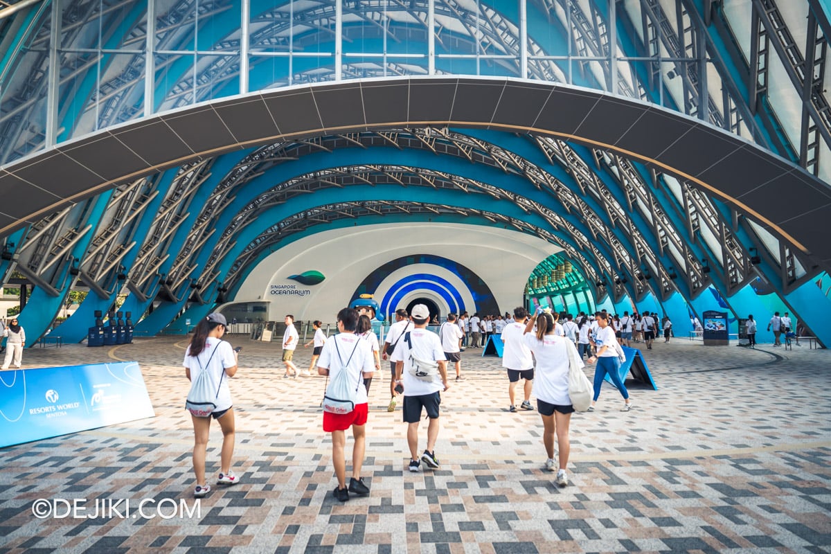 RWS Cares Festival Steps of Hope Walkathon 16 On the way to Singapore Oceanarium