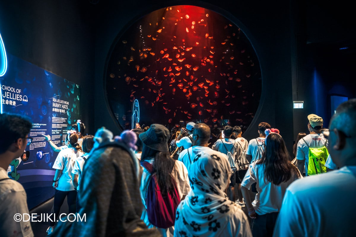 RWS Cares Festival Steps of Hope Walkathon 18 Sea Jelly Kreisel Tanks at Singapore Oceanarium