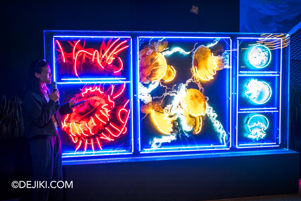 RWS Singapore Oceanarium Into The Glowcean - Oceanic Glow by Megan Foo maegzter 1 Curiosity at Spirit of Exploration zone RWS Singapore Oceanarium Into The Glowcean Oceanic Glow by Megan Foo maegzter 1 Curiosity at Spirit of Exploration zone